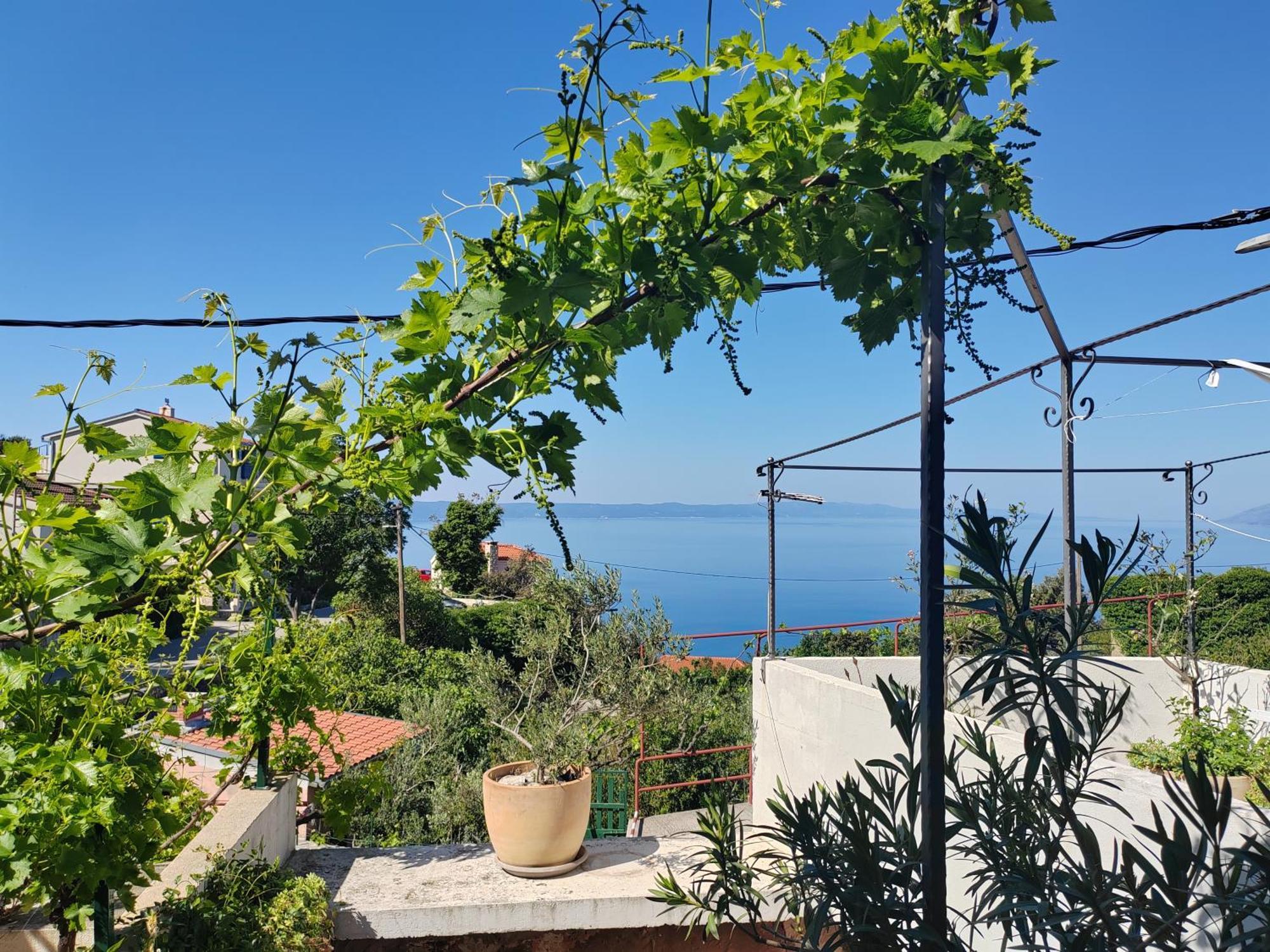 Mala Cele Apartamento Podgora Quarto foto